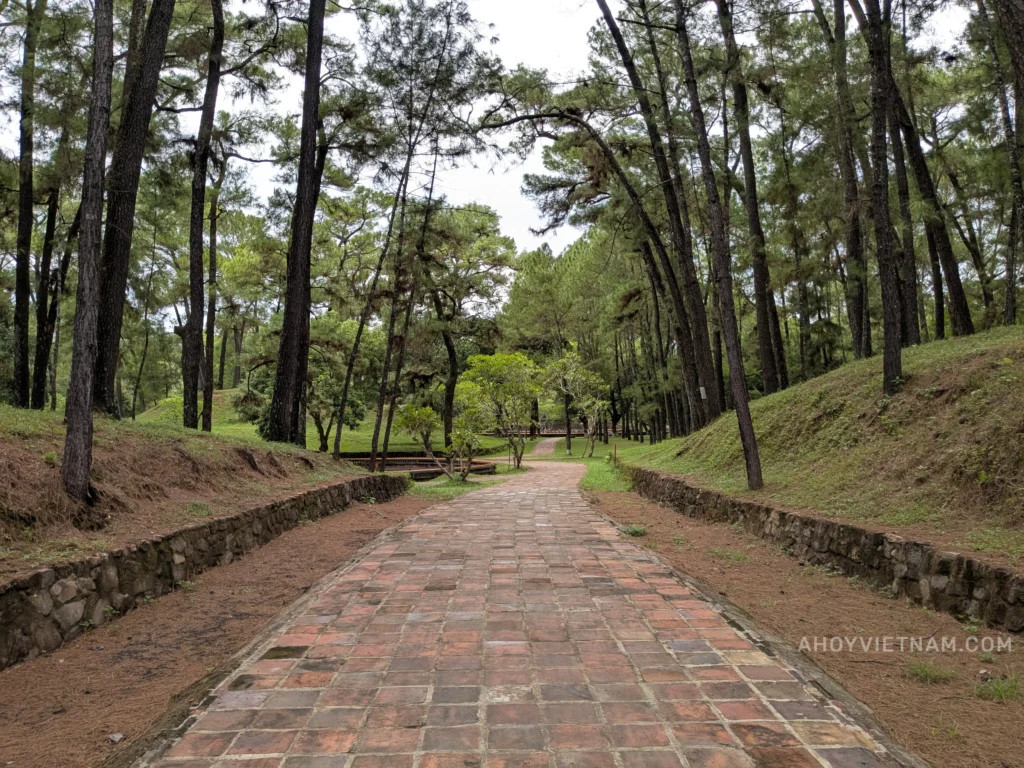 Path through the forest