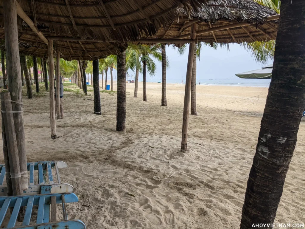 Rain dripping off palm trees on a grey day at My Khe Beach.